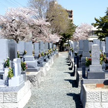 宗教法人妙厳寺 豊川稲荷